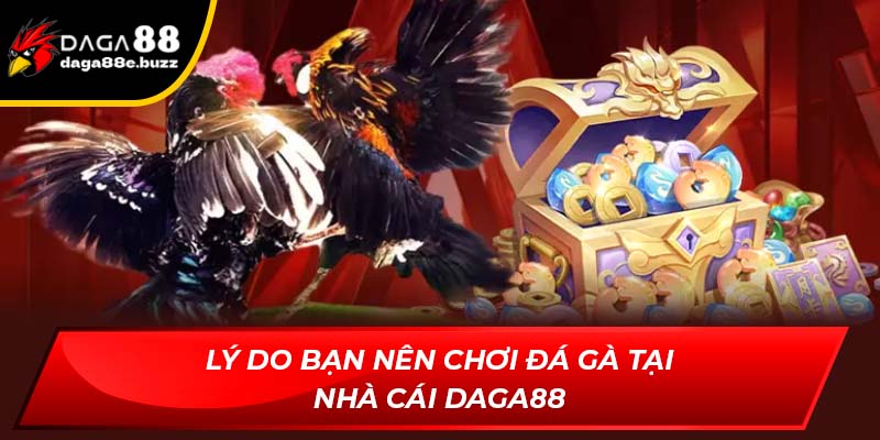 Lý do bạn nên chơi đá gà tại Daga88