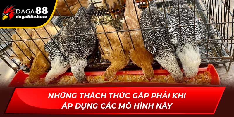 Những thách thức gặp phải khi áp dụng các mô hình này